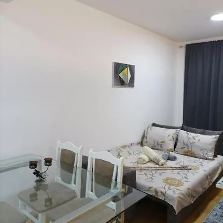 Shuleski Apartment